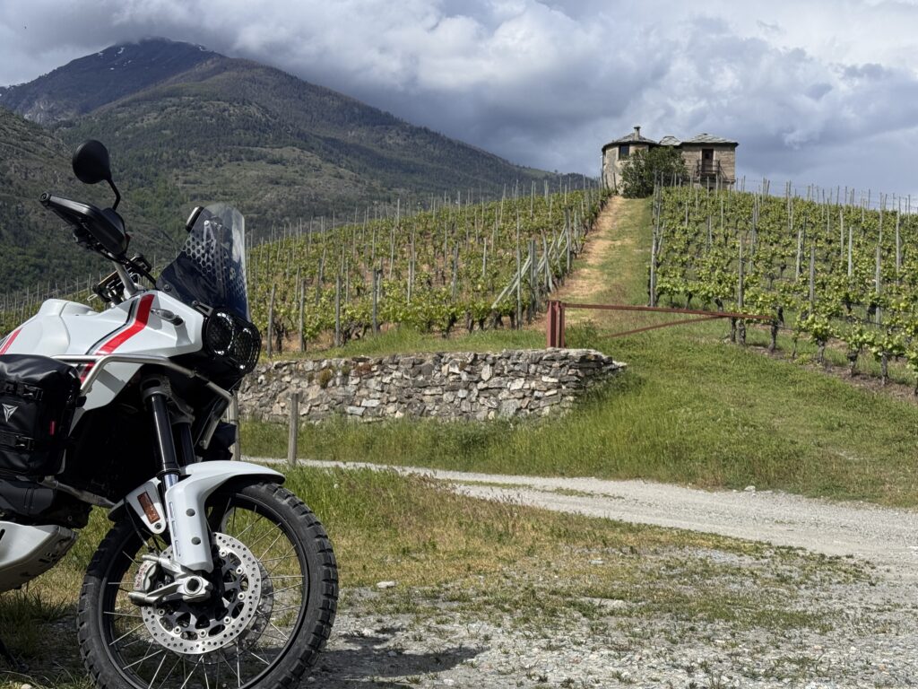 Moto Ducati Desertx parcheggiata di fronte ad una Vigna in Valle d'Aosta